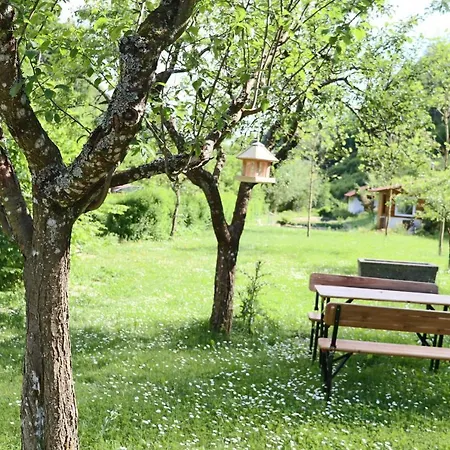 شقة Haus Belchenwiese Die Belchenblick Nr1 Kleines Wiesental