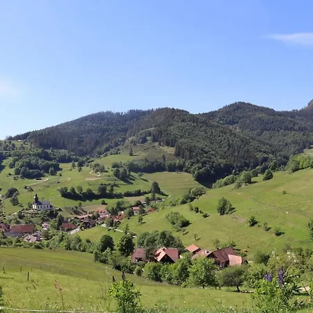 شقة Haus Belchenwiese Die Belchenblick Nr1 *